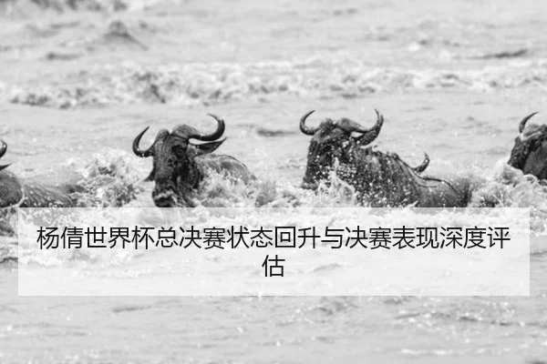 杨倩世界杯总决赛状态回升与决赛表现深度评估