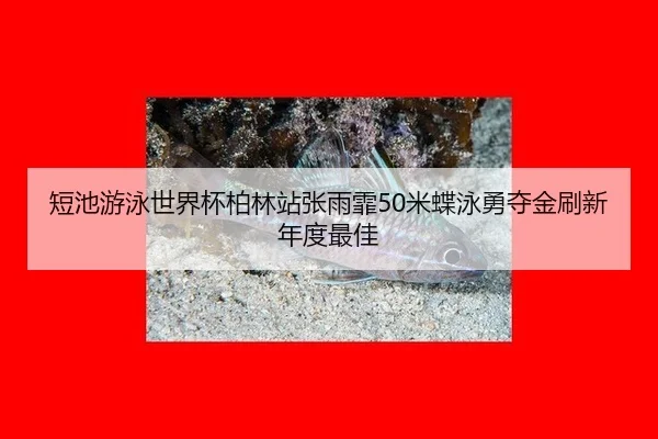 duan-chi-you-yong-shi-jie-bei-bo-lin-zhan-zhang-yu-fei-mi-die-yong-yong-duo-jin-shua-xin-nian-du-zui-jia-2-937.jpg